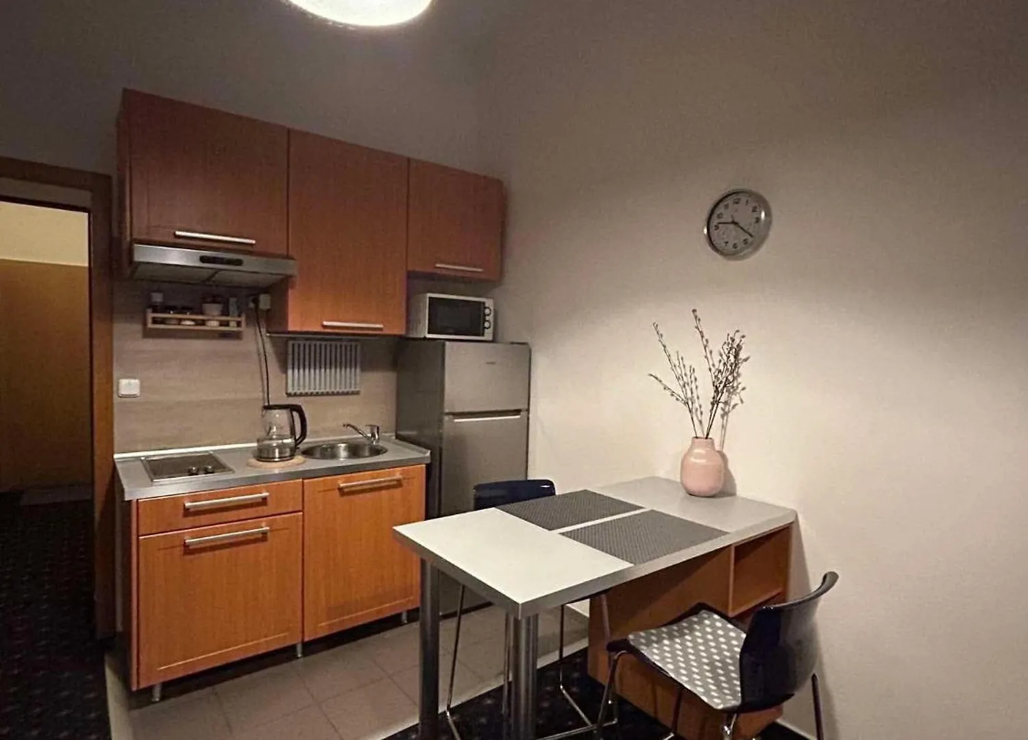 Vysehrad Studio Near The Congress Centre Прага Апартаменты